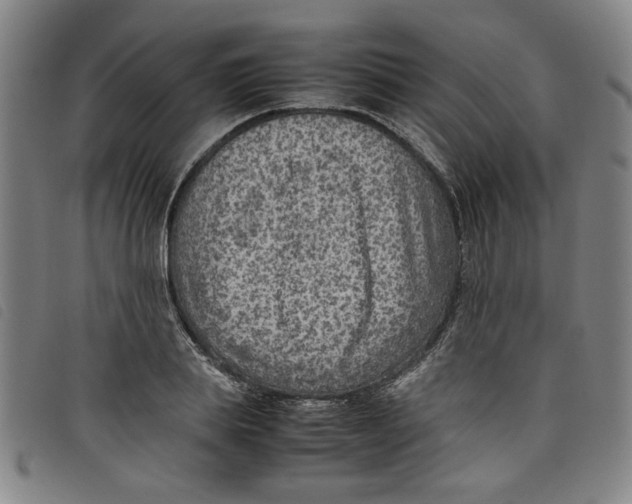 X0000097880839200804041612