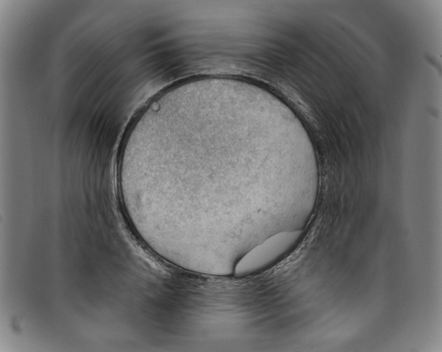 X0000097880840200804041612