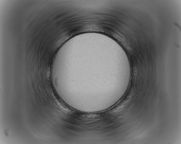 X0000097880841200804041612