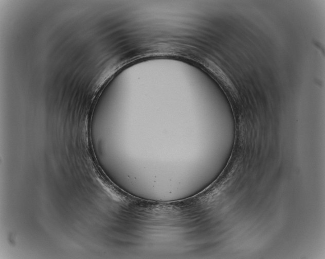 X0000097880842200804041612