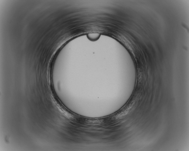 X0000097880843200804041612