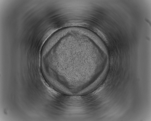 X0000097880844200804041612