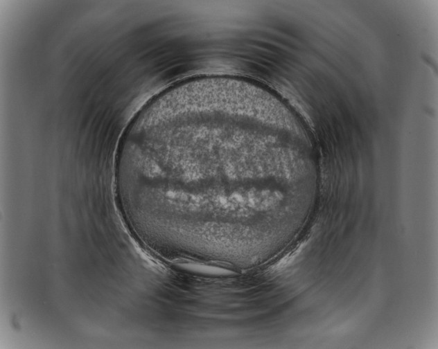 X0000097880845200804041612