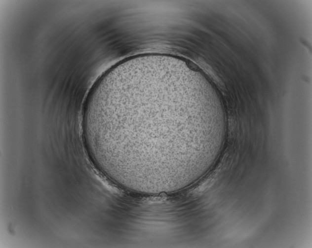 X0000097880846200804041612