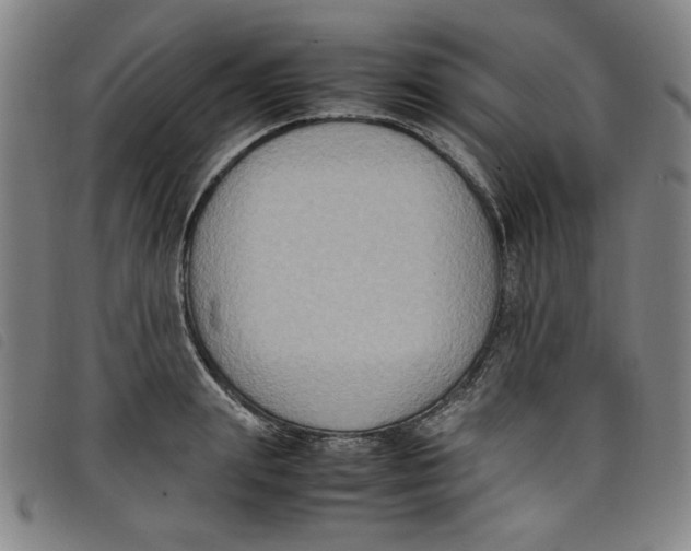 X0000097880847200804041612