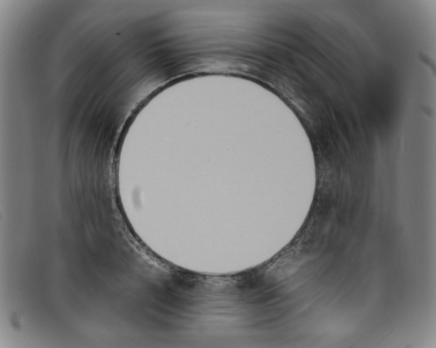 X0000097880848200804041612