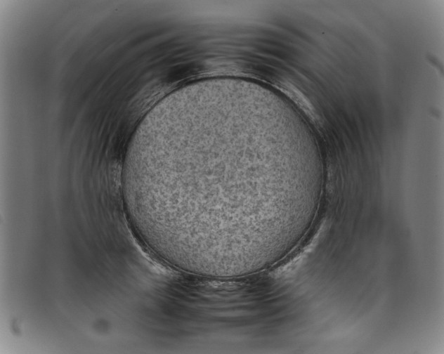 X0000097880849200804041612