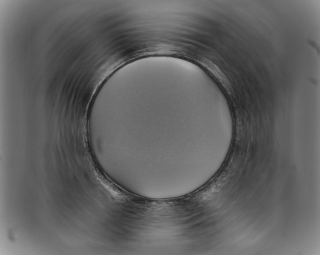 X0000097880850200804041612