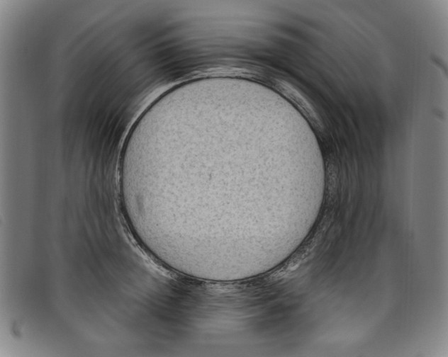 X0000097880852200804041612