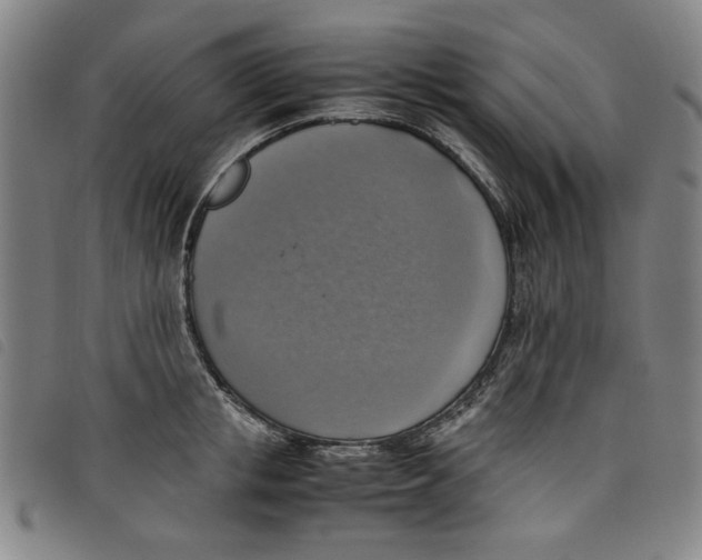 X0000097880853200804041612