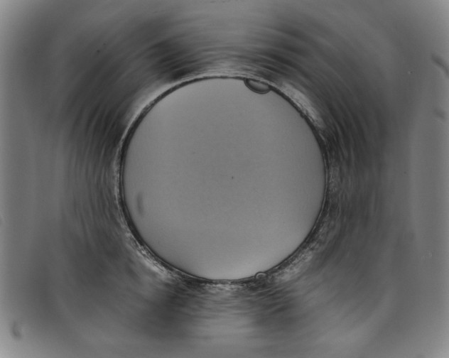 X0000097880854200804041612