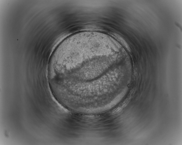 X0000097880855200804041612