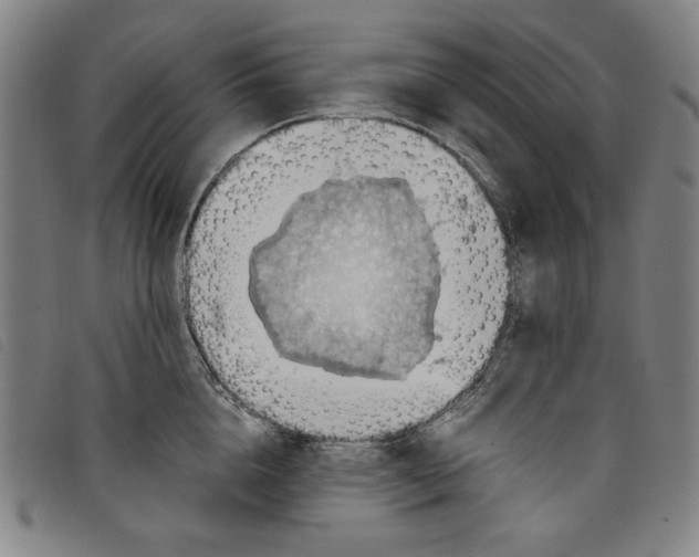 X0000097880856200804041612