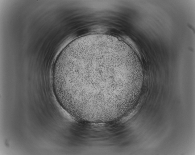 X0000097880859200804041612