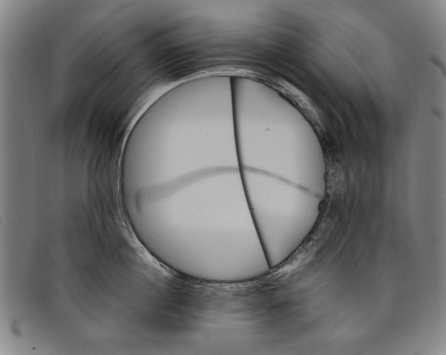 X0000097880860200804041612