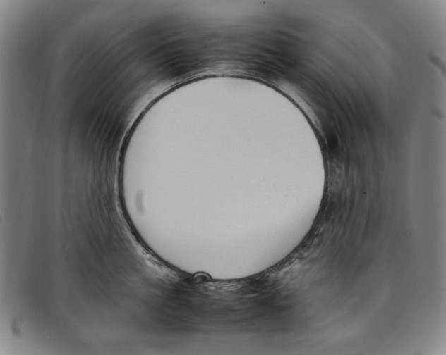 X0000097880861200804041612