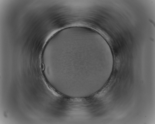 X0000097880862200804041612