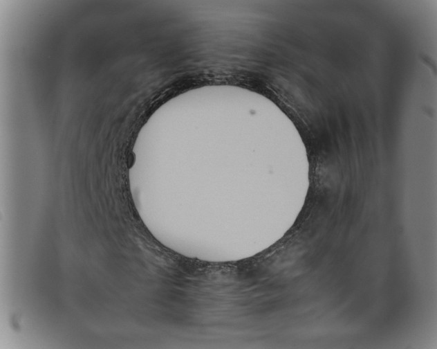 X0000097880865200804041611