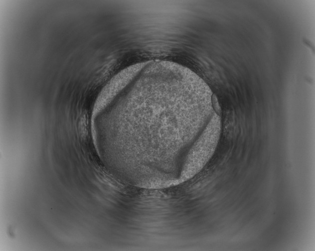 X0000097880866200804041611