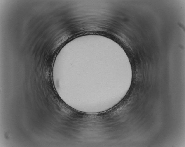 X0000097880873200804041611