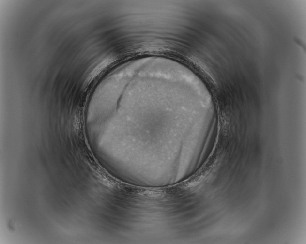 X0000097880874200804041611