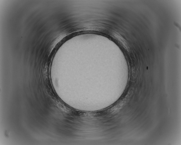 X0000097880875200804041611