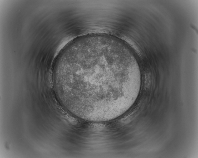 X0000097880878200804041611