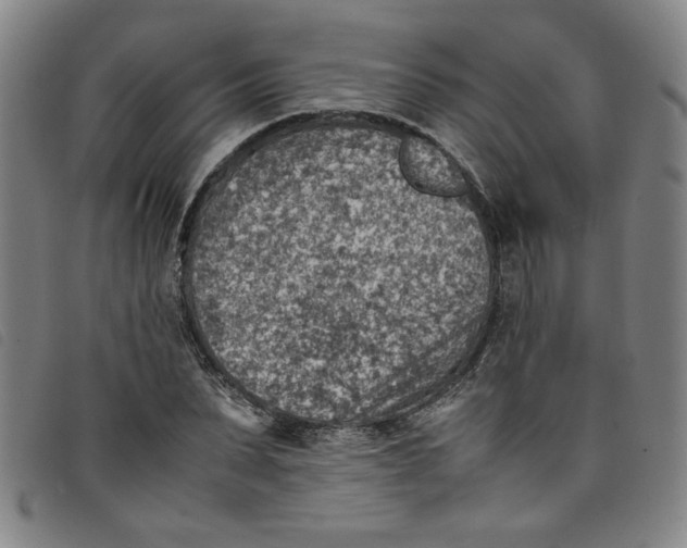 X0000097880879200804041611