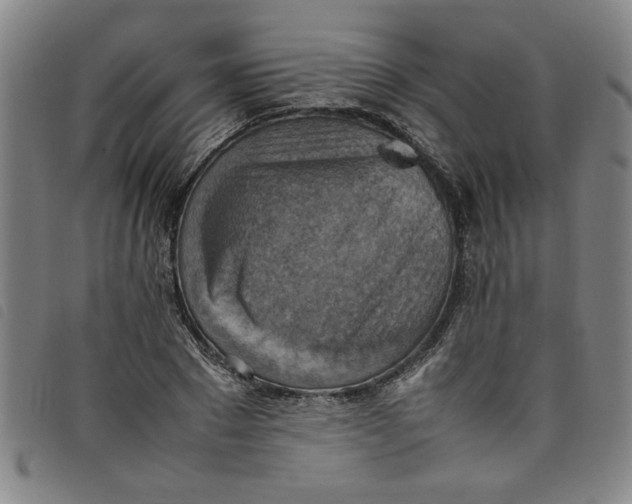 X0000097880881200804041611