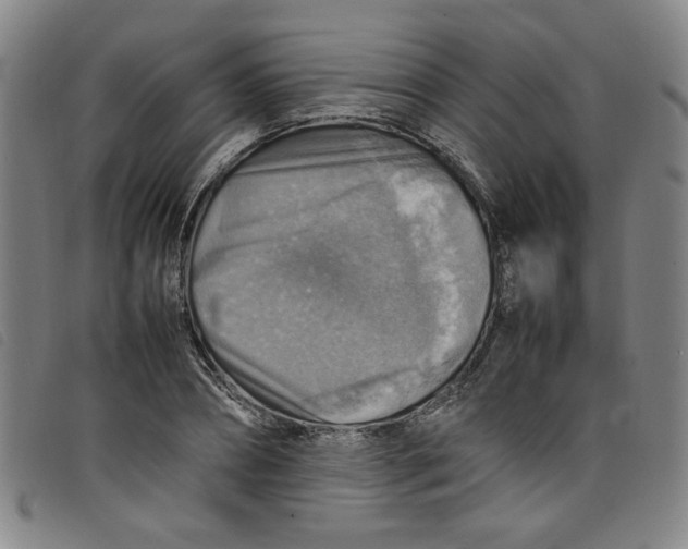 X0000097880882200804041611