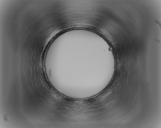 X0000097880883200804041611