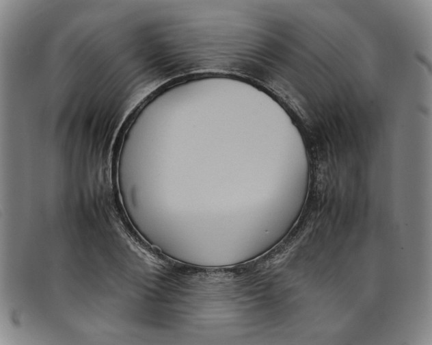 X0000097880884200804041611