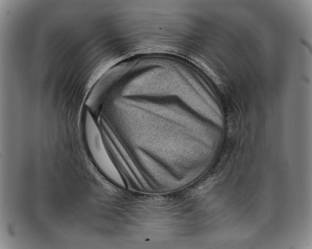 X0000097880885200804041611