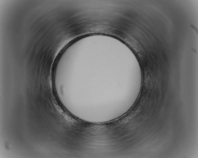 X0000097880888200804041611