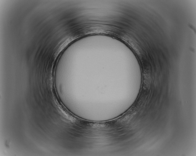 X0000097880890200804041611