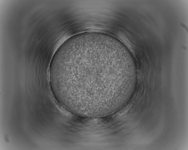 X0000097880891200804041611