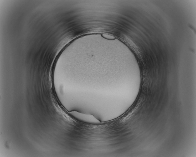 X0000097880892200804041611