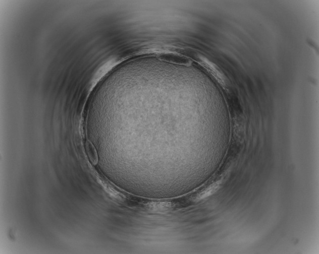 X0000097880893200804041611