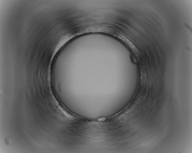 X0000097880894200804041611