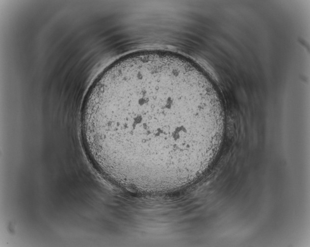 X0000097880895200804041611