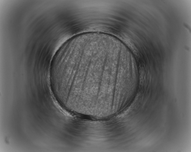 X0000097880896200804041611