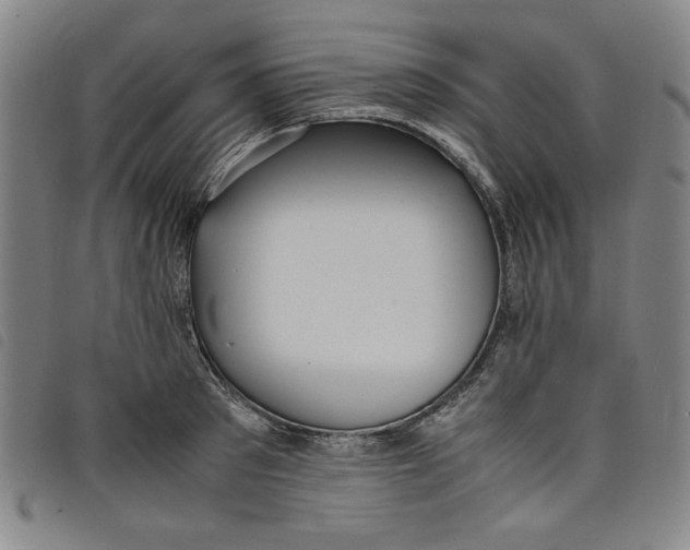 X0000097880897200804041611