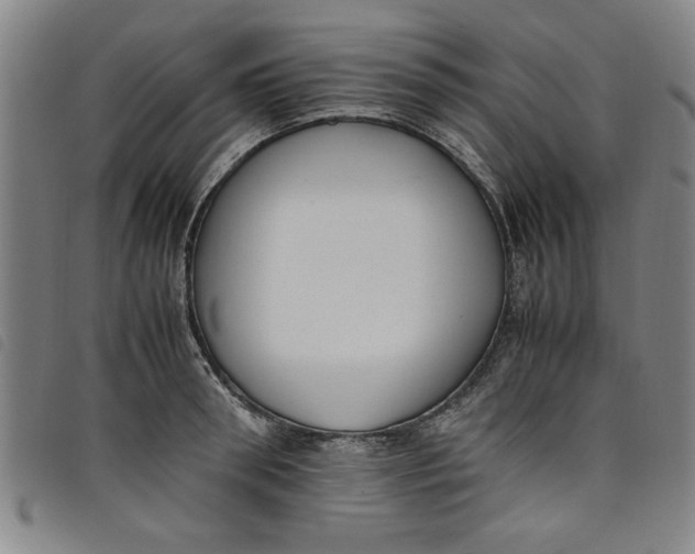 X0000097880898200804041611