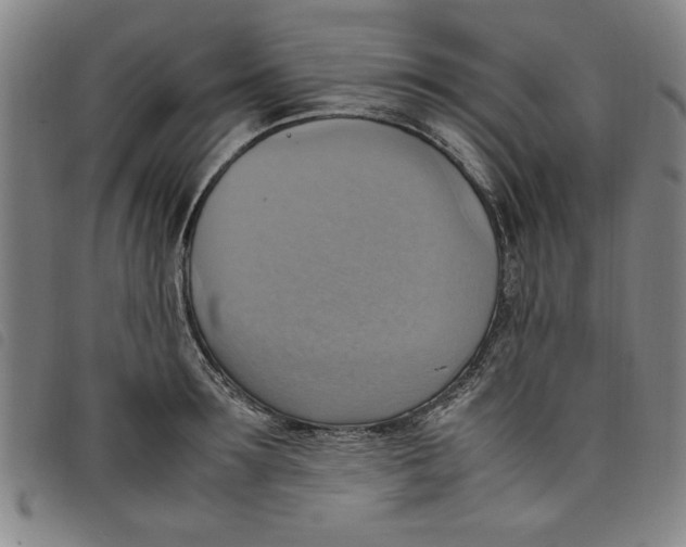 X0000097880899200804041611