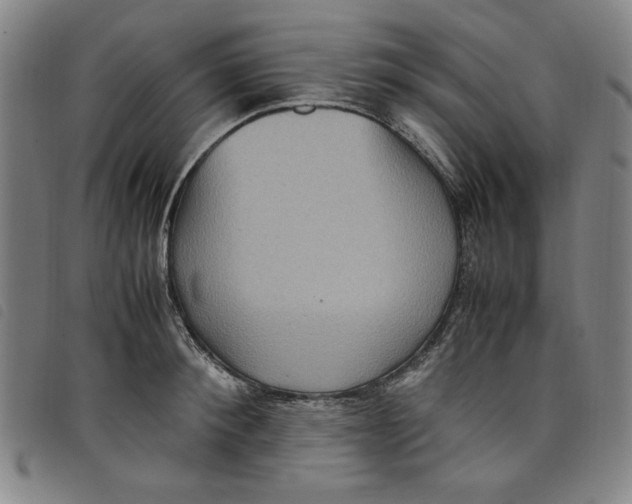 X0000097880900200804041611