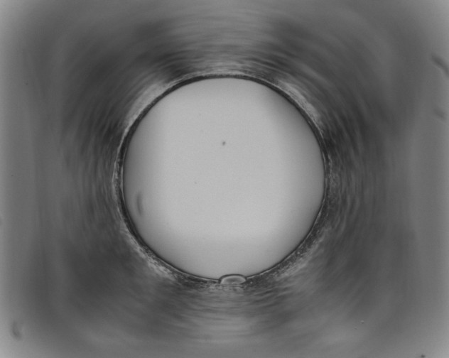 X0000097880901200804041611