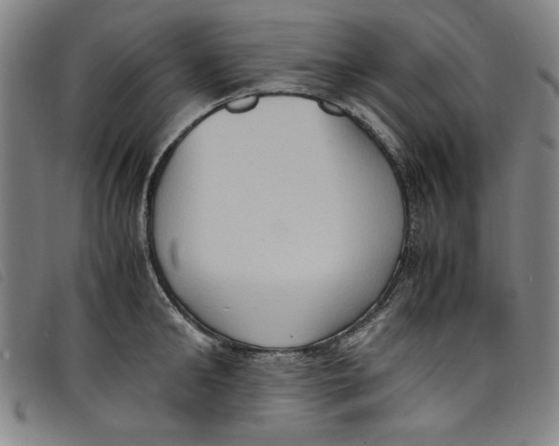 X0000097880902200804041611