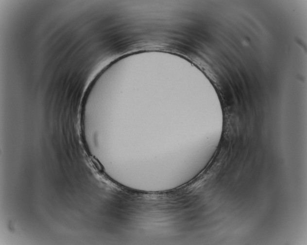 X0000097880904200804041611