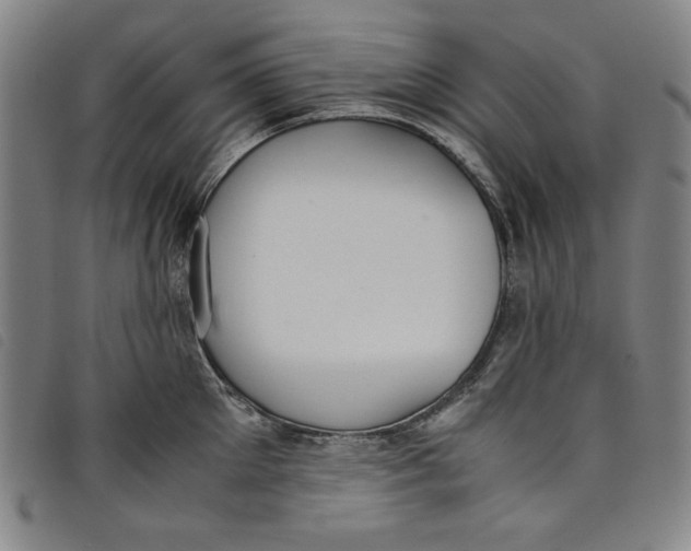 X0000097880905200804041611