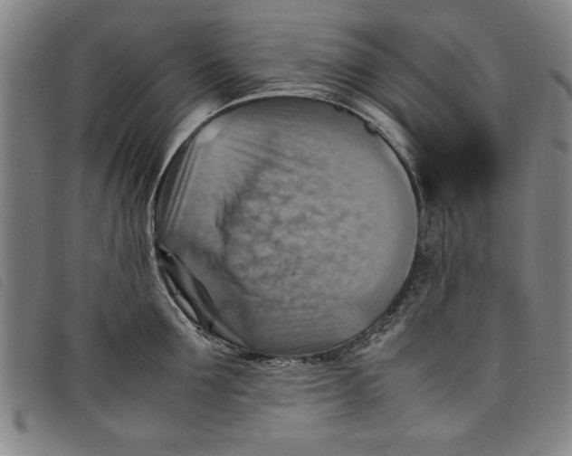 X0000097880907200804041611